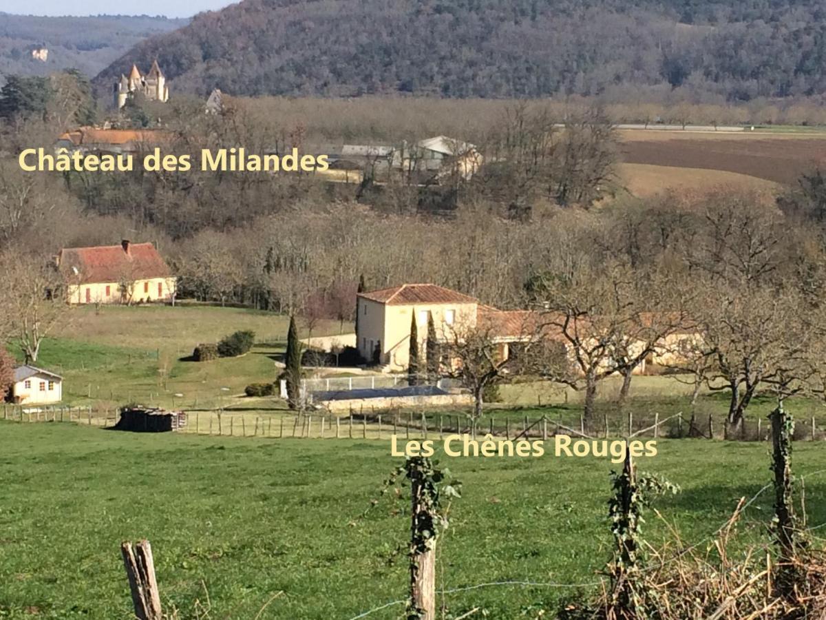 Les Chenes Rouges Bed and Breakfast Veyrines-de-Domme Εξωτερικό φωτογραφία